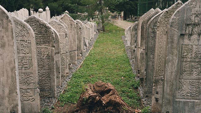 Inscriptions cemetery rows