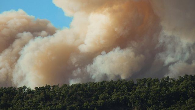 Wildfire smoke plume forest