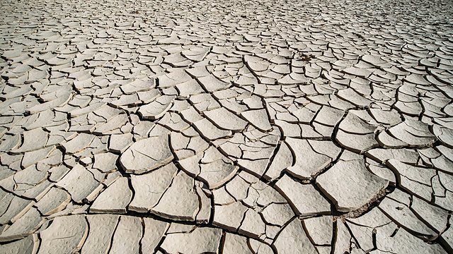 Cracked earth texture