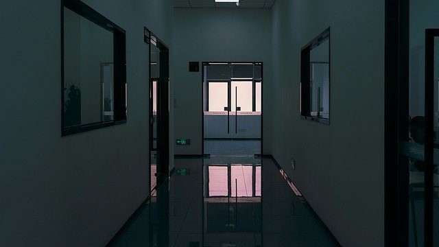 Office hallway brand signage