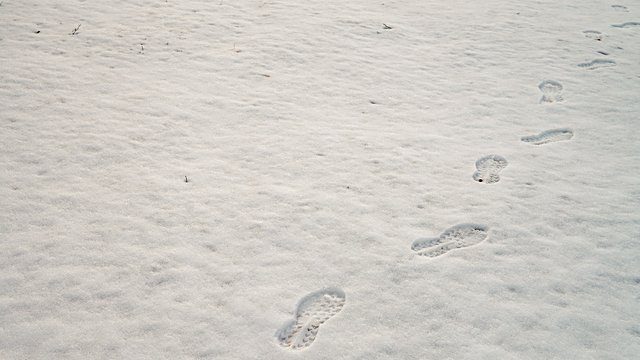 Footprints fresh snow trail