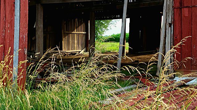 Barn open doorway field