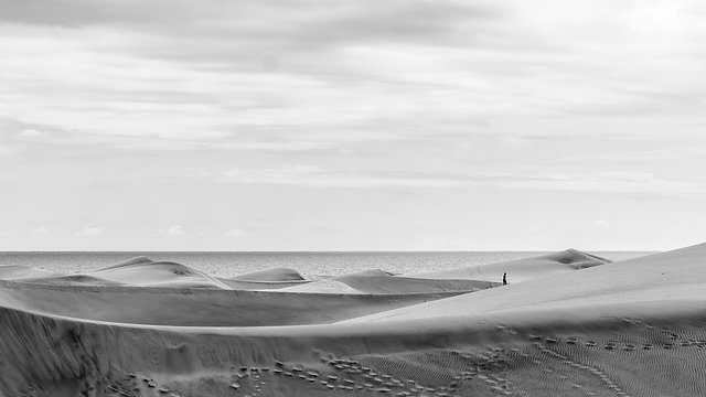Dune walker monochrome