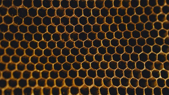 Honeycomb