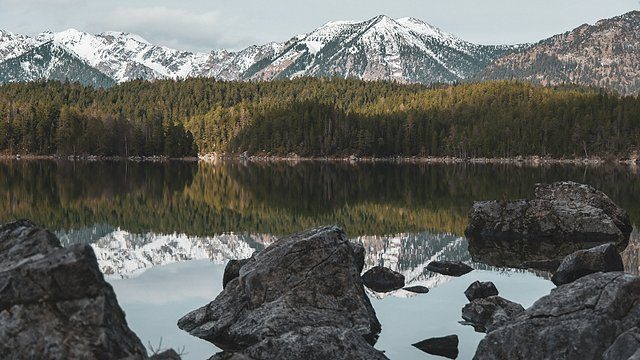 Lake forest shoreline reflection