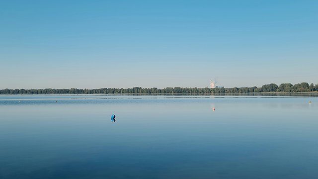 Lake treeline wide