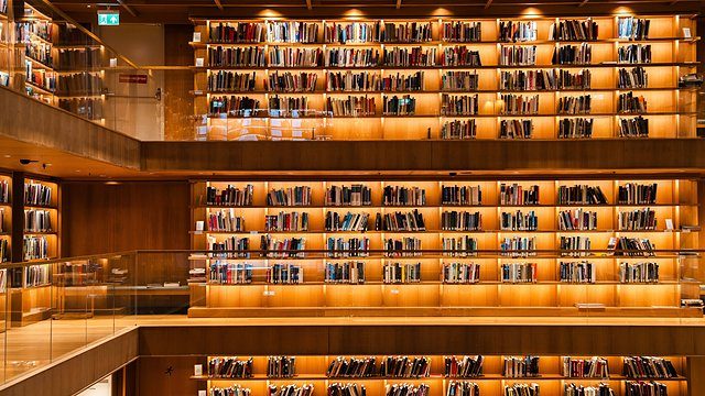Modern library shelves