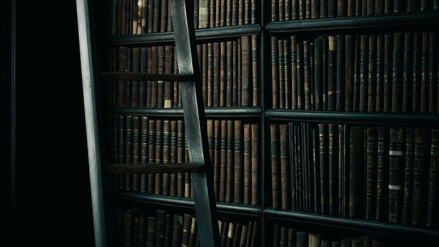 Old library ladder