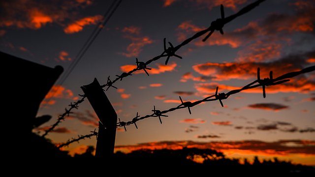 Barbed wire sunset silhouette