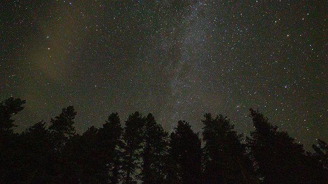 Milky way forest silhouette